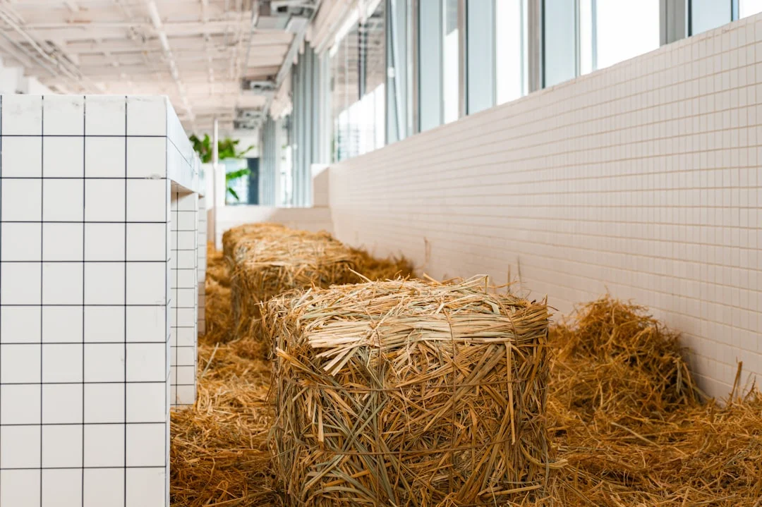 나만의 공간을 특별하게, 실패 없는 방 꾸미기 가이드: 감성 한 스푼 더하기